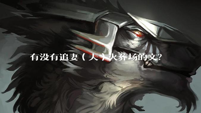 有没有追妻（夫）火葬场的文？