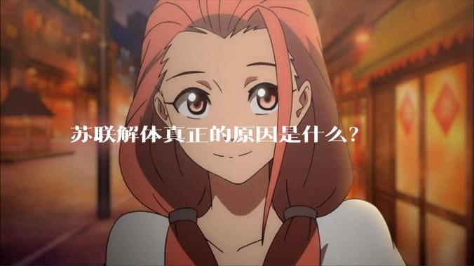 苏联解体真正的原因是什么？